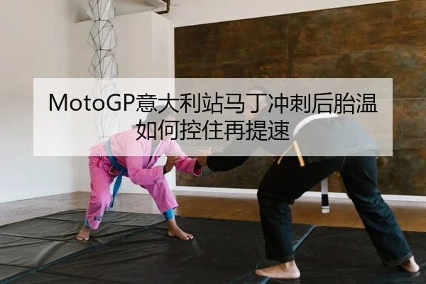 yi-da-li-zhan-ma-ding-chong-ci-hou-tai-wen-ru-he-kong-zhu-zai-ti-su-2-332.jpg